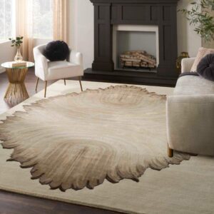 Picture of a nice Rug
