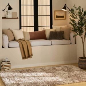 Picture of a nice Rug